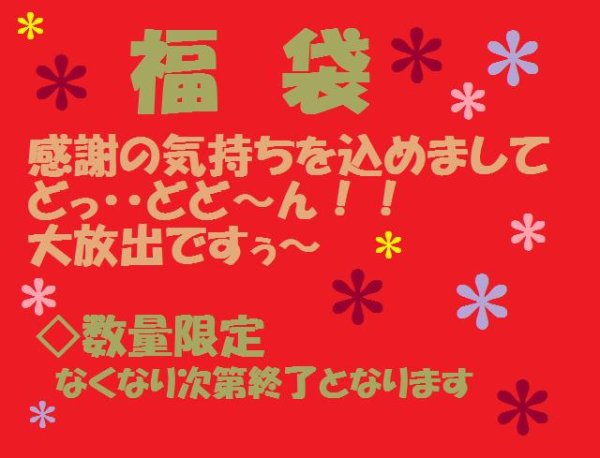 画像1: ◆2025お楽しみ福袋　◆ (1)